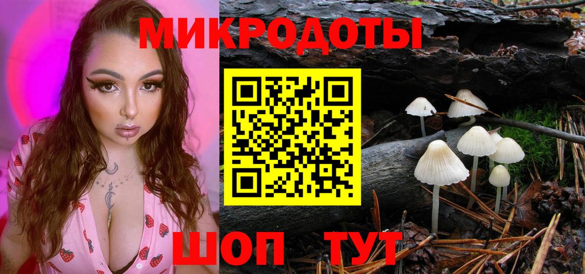 Псилоцибиновые грибы GOLDEN TEACHER Кунгур