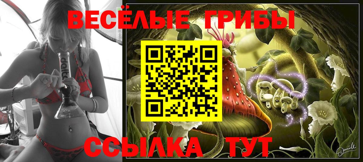 Кунгур  Галлюциногенные грибы GOLDEN TEACHER  Вход с VPN  Псилоцибиновые грибы мицелий 